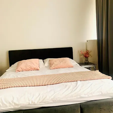 Lägenhet Hanza Tower De Lux