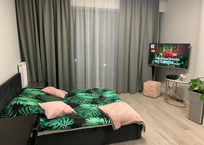 Hanza Tower De Lux Apartment *